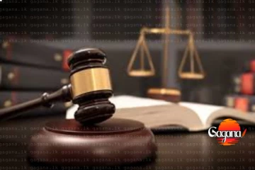 පරෙවියන් නිසා සිරදඩුවමක් අත්හිටවයි