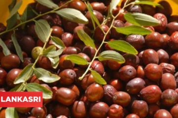 பித்தம் குறைக்க, எலும்புகள் வலுப்பெற இந்த பழத்தை தினமும் சாப்பிடுங்கள்!