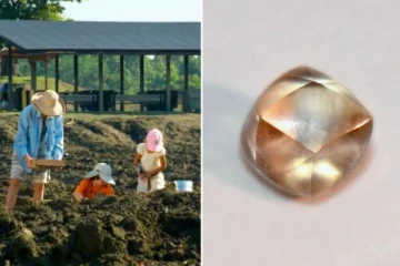 பூங்காவில் 7 வயது சிறுமிக்கு கிடைத்த அழகிய வைரம்: பிறந்தநாள் கொண்டாட சென்ற இடத்தில் அதிர்ஷ்டம்