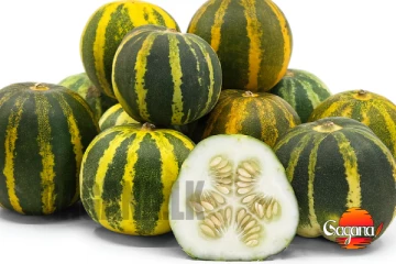 එපා කියලා විසි කරපු කැකිරිවලින් මෙහෙමත් කරන්න පුළුවන් [PHOTOS]