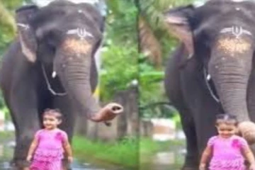 யானையுடன் கம்பீரமாக நடந்துவரும் பெண் குழந்தை… தைரியத்தை பார்த்து பிரமிக்கும் ரசிகர்கள்
