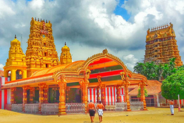 வரலாற்று சிறப்பு மிக்க நல்லூர் கந்தனின் கொடிச்சீலை எடுத்துவரும் நிகழ்வு | Jaffna Nallur Kandaswamy Kovil Festival 2025