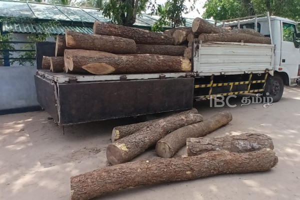 முப்பது இலட்சம் பெறுமதியான முதிரை மரக்குற்றிகள் மீட்பு! | Mudirai Tree Rescued By Dharmapuram Police