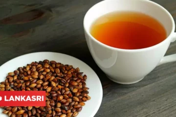 காலை எழுந்ததும் தினம் ஒரு கப் பார்லி டீயை குடிச்சு பாருங்க.. இந்த நன்மைகள் எல்லாம் கிடைக்குமாம்