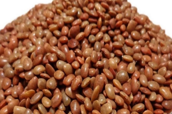 தொங்கும் தொப்பைக்கு இந்த பொடி போதும் - வாரம் நான்கு முறை சாப்பிடுங்க | Weightloss Podi How To Make Recipe In Tamil