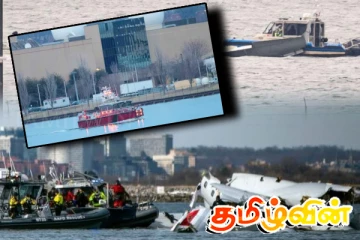 அமெரிக்க விமான விபத்து: 41 சடலங்கள் மீட்பு