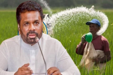 விவசாயிகளுக்கு தடையின்றி உர விநியோகம் : ஜனாதிபதி வெளியிட்ட அறிவிப்பு