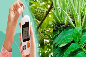 சுகரை சட்டுன்னு குறைக்கணுமா? அப்போ இந்த இலைகள் இருந்தா போதும்