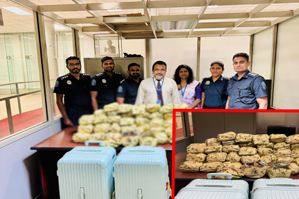 கொத்தல ஹிம்புட்டுவை கடத்த முற்பட்ட சீனர் அதிரடியாக கைது | Chinese Smuggle Kothala Himbutu Arrested Airport