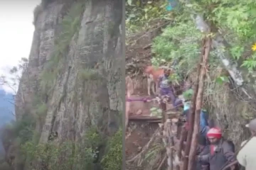 200 அடி பள்ளத்தில் விழுந்த மாடு ; பெரும் போராட்டத்திற்கு மத்தியில் மீட்பு