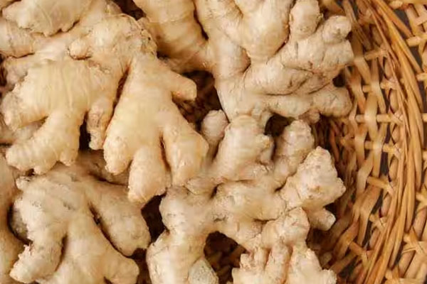 தலைசுற்ற வைக்கும் இஞ்சி விலை | Ginger Prices Are Staggering