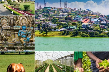 ரணிலின் ஆலோசனைக்கமைய நுவரெலியாவில் முன்னெடுக்கப்படும் நடவடிக்கை (Photos)