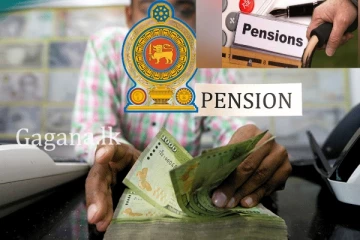 නව රජය විසින් විශ්රාම වැටුප් කපා දමන්න යයි..කැපෙන පිරිස ගැනත් කියයි..වාහන සම්බන්ධයෙනුත් ගන්න යන තීරණය මෙන්න.