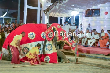 ජනපති කතරගම පෙරහර නරඹද්දී ඇතා පැමිණ දණ නමස්කාර කරයි.(PHOTOS)