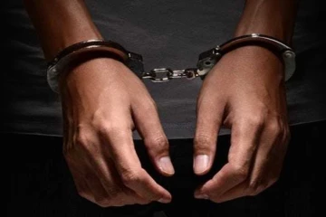 ගජමුතු ප්‍රවාහනය කළ තිදෙනෙක් හාලිඇලදී STF දැලේ