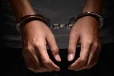 ගජමුතු ප්‍රවාහනය කළ තිදෙනෙක් හාලිඇලදී STF දැලේ