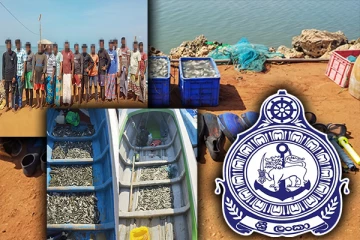 மன்னாரில் கடல் அட்டைகள் பிடித்த 16 பேர் கைது!