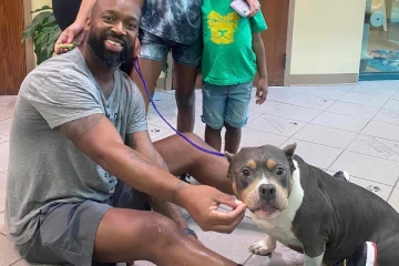 தொலைந்துபோன நாயை மூன்று வருடங்களின் பின் கண்டு பிடித்த குடும்பம்!