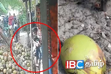 இரண்டு வயது குழந்தைக்கு எமனான தேங்காய் : கடும் துயரத்தில் பெற்றோர்