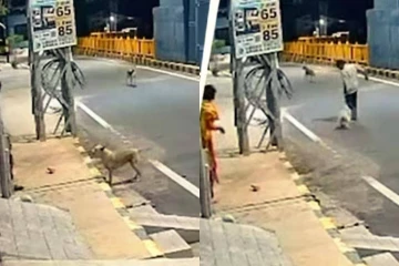 மனநலம் பாதித்த பெண்ணிடம் அத்துமீறிய சிறுவன் - காப்பாற்றிய தெருநாய்