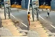 மனநலம் பாதித்த பெண்ணிடம் அத்துமீறிய சிறுவன் - காப்பாற்றிய தெருநாய்
