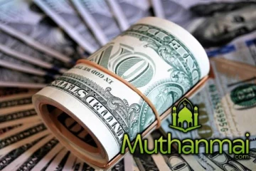 7 பில்லியன் அமெரிக்க டொலர் வருமானம் இலங்கைக்கு