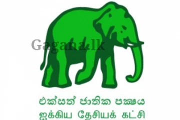 UNPයට විශේෂ දවසක්.. පක්ෂය ගැනත් තීරණයක්?. ඊයේ හවස කළ දේ මෙන්න.