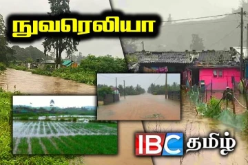 நாட்டில் நிலவும் சீரற்ற காலநிலை : வெள்ளத்தில் மூழ்கிய விவசாய நிலங்கள்