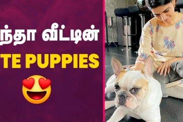 சமந்தா வீட்டின் Cute பூப்பிஸ்