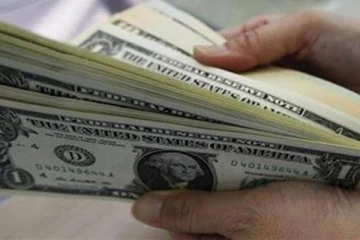 விடுதலைப் புலி ஆதரவு புலம்பெயர் தமிழர்களும் டொலர் நெருக்கடிக்கு காரணம்! சிங்கள ஊடகம் தகவல்