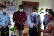 வவுனியாவில் அழிக்கப்பட்ட காடுகளை மீள உருவாக்க 10 வருடங்கள் தேவை: நாடாளுமன்ற உறுப்பினர் திலீபன்