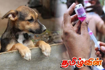 இலங்கையில் விசர்நாய் கடியை முழுமையாக ஒழித்த முதல் மாவட்டம்