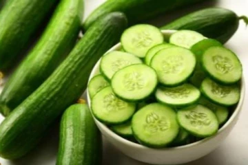 வெள்ளரி ஏற்றுமதியால் 10.3 மில்லியன் டொலர் வருமானம்