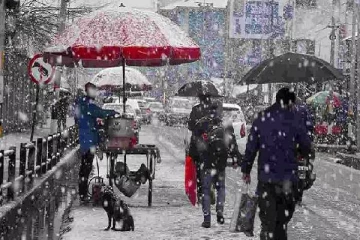 கடும் பனிபொழிவால் ஸ்தம்பித்த கனடா: இருளில் மூழ்கிய 44,000 குடியிருப்புகள்