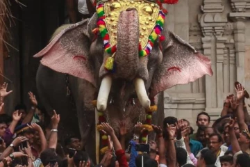 யாழ் ஆலயத்தில் மதம்பிடித்த யானையால் மூவருக்கு நேர்ந்த கதி!