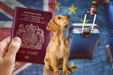 கல்வி, வேலை, பயணம்... பிரெக்சிட் ஒப்பந்தம் பிரித்தானியர்களின் அன்றாட வாழ்வில் என்ன விதமான தாக்கத்தை ஏற்படுத்தும்?