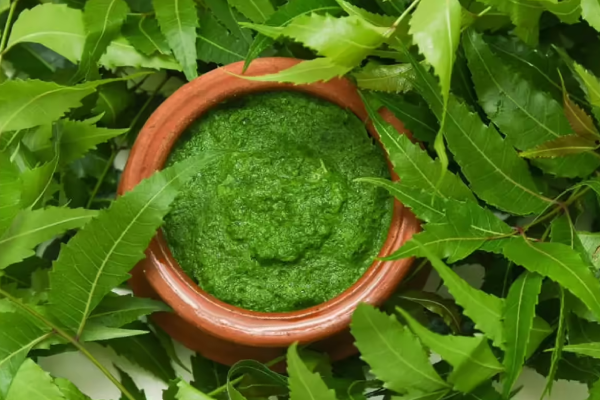 தலையில் இருக்கும் பேன் தொல்லைக்கு - பூண்டு இருந்தா இதனுடன் அரைத்து பூசுங்க | Home Remedies To Get Rid Of Head Lice Tamil