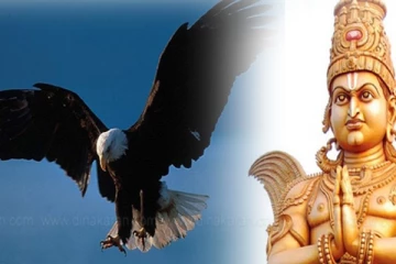 நாளை வானில் கருடனை தரிசித்தால் இத்தனை நன்மைகளா?