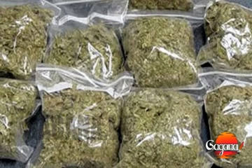 කේරල ගංජා කිලෝ ගණන් මන්නාරමෙන්