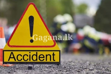 පියයි පුතයි එකටම මෙලොව හැර දා යන්නම ගිය සංවේදී පුවතක්..