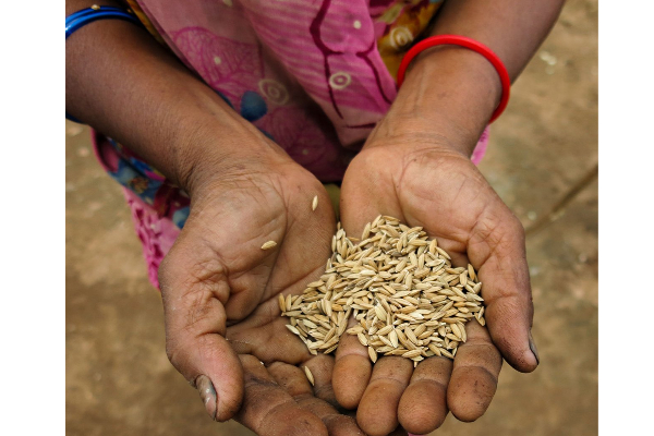 சர்க்கரை நோயினால்  பாதிக்கப் பட்டவர்களுக்கான அற்புத கசாயம் | Miracle Infusion For Diabetics