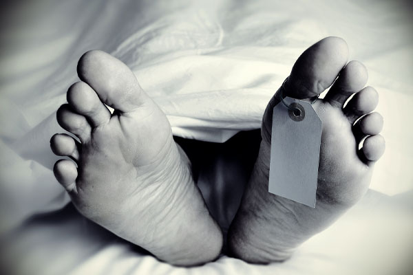 இரதம் மோதுண்டதில் இருவர் உயிரிழப்பு | Two People Death Collided With A Power Line