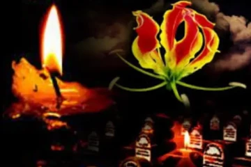 தமிழகத்துக்கும் தமிழ் ஈழத்துக்குமான உயிர் சான்று - மாவீரர் நாள் (Video)