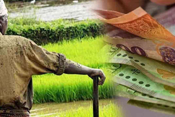 விவசாயிகளுக்கு மகிழ்ச்சி செய்தி ; காப்பீட்டுத் திட்டம் தொடர்பில் வெளியான அறிவிப்பு | Good News Farmers Announcement Insurance Scheme