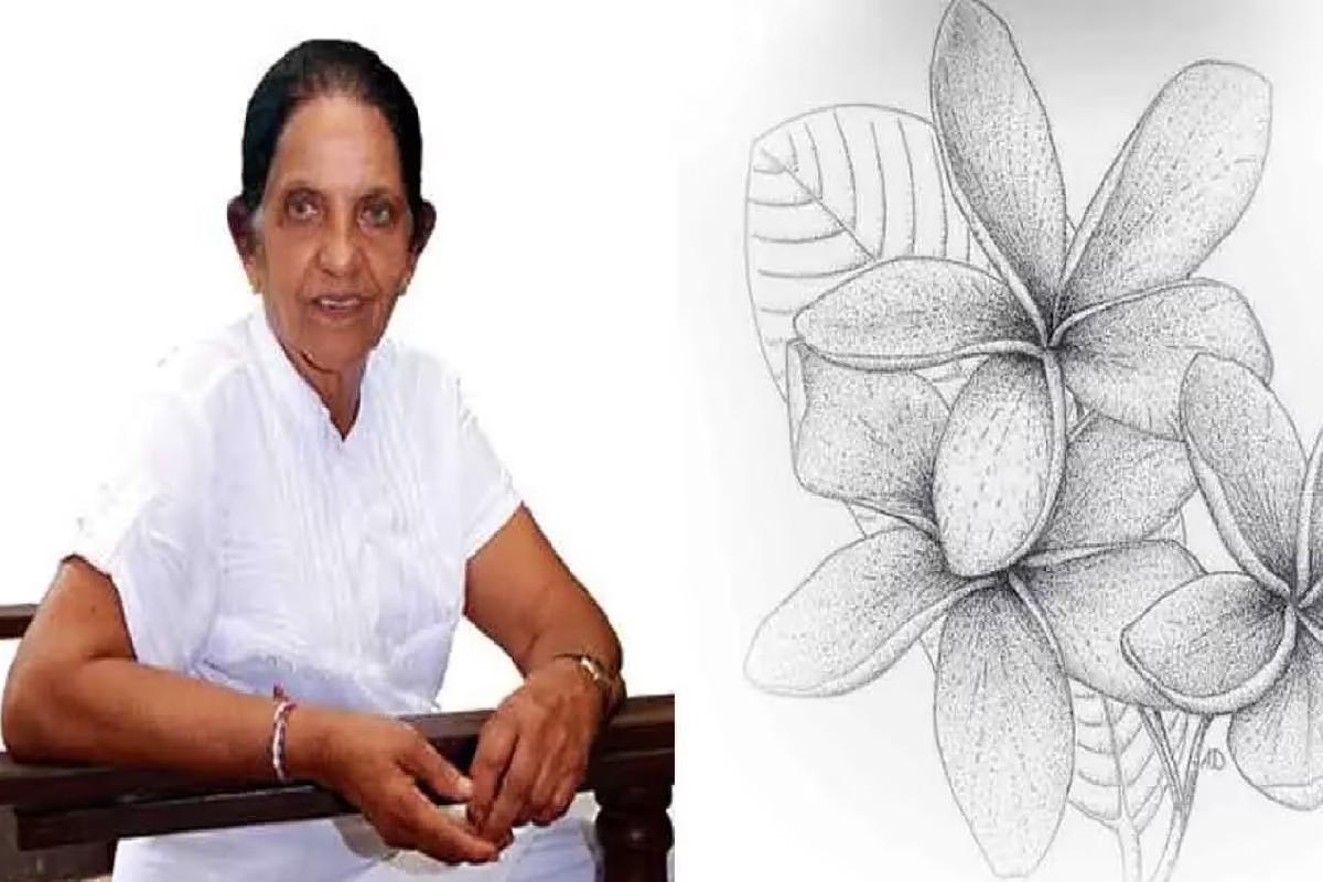 இலங்கையின் மூத்த கலைஞர் தயா நெல்லம்பிட்டிய காலமானார் | Veteran Sri Lankan Artist Daya Nellampitiya Dies இலங்கையின் மூத்த கலைஞர் தயா நெல்லம்பிட்டிய காலமானார் | Veteran Sri Lankan Artist Daya Nellampitiya Dies