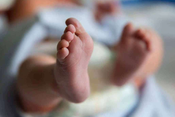 யாழ்ப்பாணத்தில் சோகம் - 7 மாத குழந்தை சிகிச்சை பலனின்றி பலி | 7 Month Old Baby Dies In Jaffna Hospital யாழ்ப்பாணத்தில் சோகம் - 7 மாத குழந்தை சிகிச்சை பலனின்றி பலி | 7 Month Old Baby Dies In Jaffna Hospital