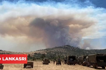 வெளிநாட்டில் பிரித்தானிய துருப்புகளின் கொடூரம்... பற்றியெரியும் 8,000 ஏக்கர்: பரிதாபமாக பலியான 5 யானைகள்