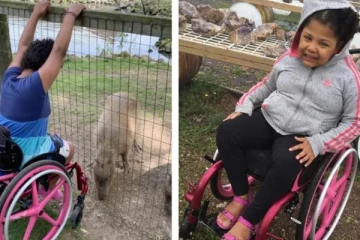 சரியாக நடக்க முடியாத குழந்தையின் சக்கர நாற்காலியை திருடிச் சென்ற நபர்