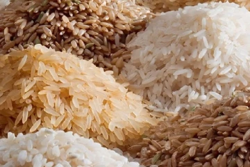 ஒரு கிலோ அரிசியின்  விலை 500 ரூபாவாக உயரும் அபாயம்