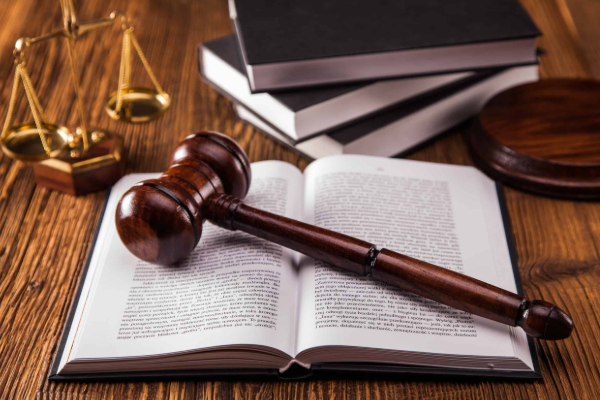 சஞ்சீவ படுகொலை விவகாரம்.. நீதிமன்று விடுத்துள்ள உத்தரவு | Ganemulla Sanjeeva Submitted To Court